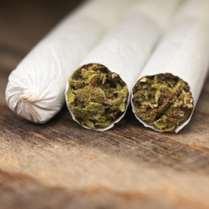 Pré rolls CBD